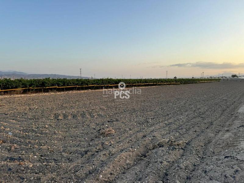 Foto b7616852-578b-45ae-8edf-3b60d89ec556. Propriété dans camino de lebor s/n dans Totana