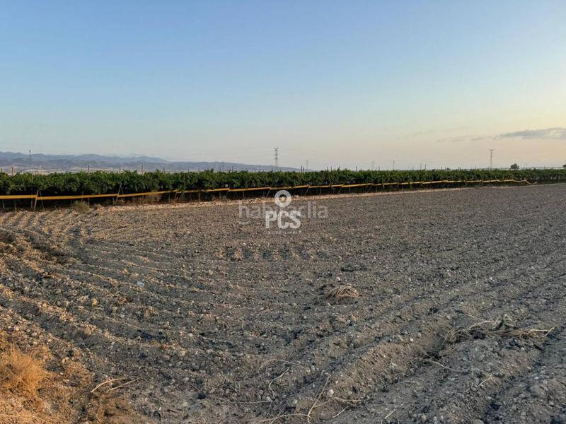 Foto d0e443ca-a74a-48fd-93f3-21e3b1d54725. Propriété dans camino de lebor s/n dans Totana