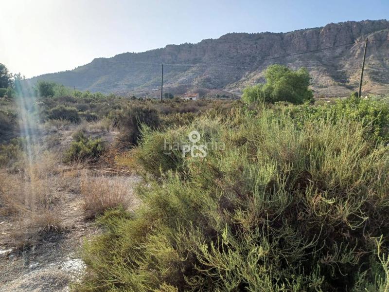 Foto 75d91690-4490-4b71-ae15-28874cc00eeb. Wohngrundstück in antonio fuertes s/n in Alhama de Murcia ciudad Alhama de Murcia
