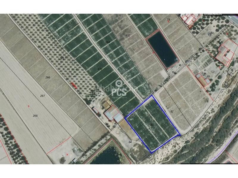 Foto 1ac90d6b-5340-4535-97e0-544cc77b7e21. Fondo rustico in zona torremocha s/n in Totana