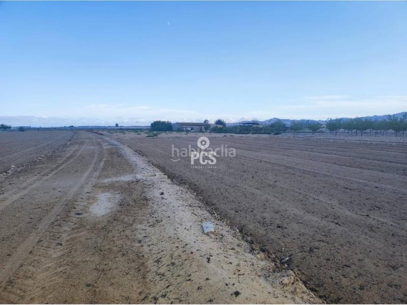 Foto 2b7ab8e1-27ed-4547-9e48-82b0da9015bf. Fondo rustico in zona torremocha s/n in Totana