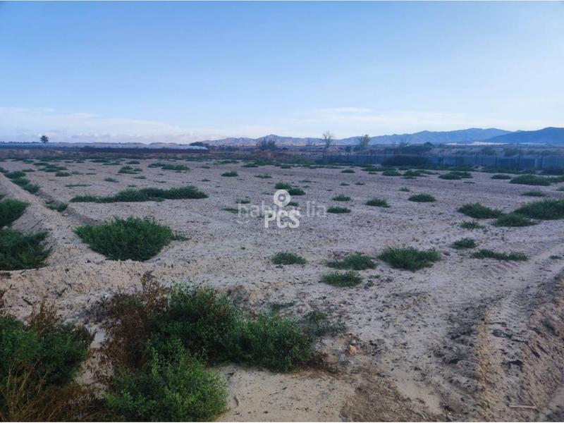 Foto 42687c76-05ae-448e-9909-d9c206a36d1b. Fondo rustico in zona torremocha s/n in Totana