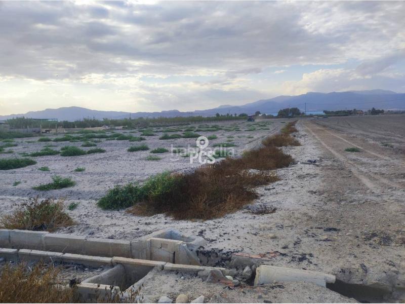 Foto 549b5f94-333e-4eaa-9b05-6f4e8fae7862. Fondo rustico in zona torremocha s/n in Totana