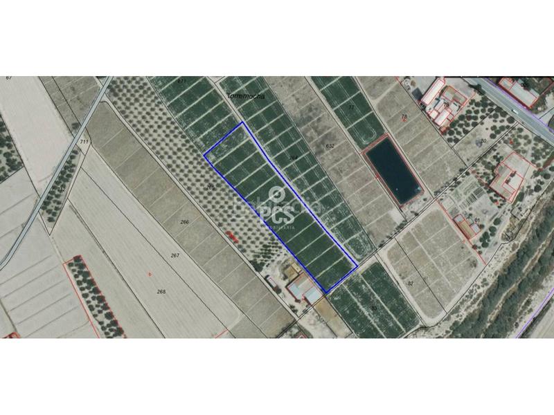 Foto 6e862cec-f370-4c1c-923f-ef48e44a8a84. Fondo rustico in zona torremocha s/n in Totana