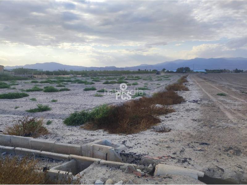 Foto 7508a0af-4029-4a86-a40c-6072ef0d005b. Fondo rustico in zona torremocha s/n in Totana