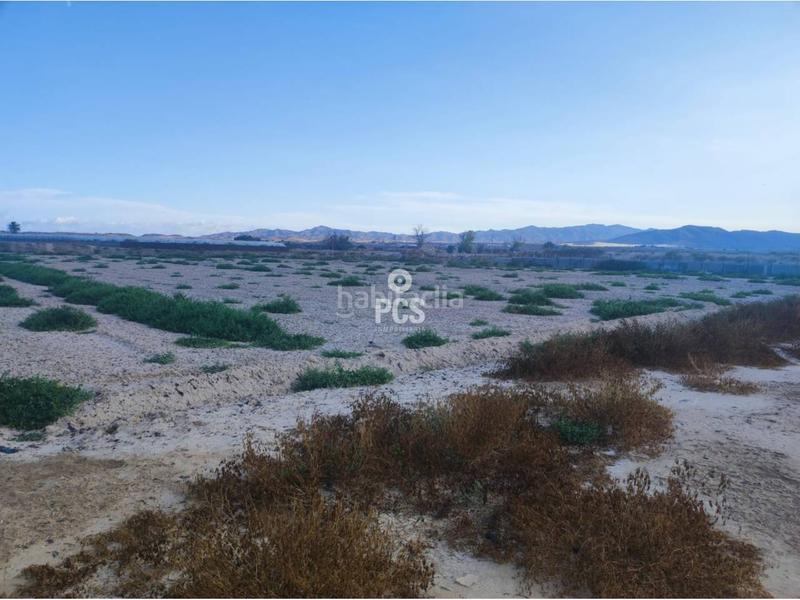 Foto 7524bd23-93b7-445b-ac6e-f2f06493115a. Fondo rustico in zona torremocha s/n in Totana