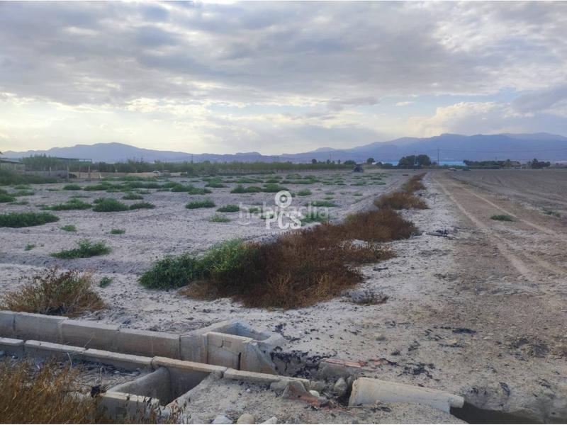 Foto af1e6de8-1637-49c8-9f9f-70db1d92840a. Fondo rustico in zona torremocha s/n in Totana