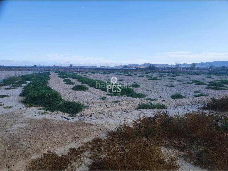 Foto cf121f32-3806-4146-a808-f089d12b9ae7. Fondo rustico in zona torremocha s/n in Totana