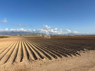 Residential Plot in Raiguero s/n. Venta de terreno en totana