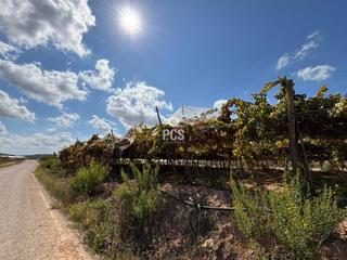 Propriété à Llano de las bojas (aledo) s/n. Venta de terrenos con parrales en totana leer descripcion
