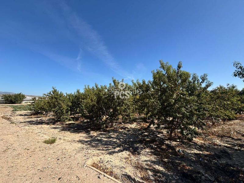 Foto 2468b8b1-7696-4d64-bb4f-11829e05fe2c. Rural plot in lebor s/n in Totana