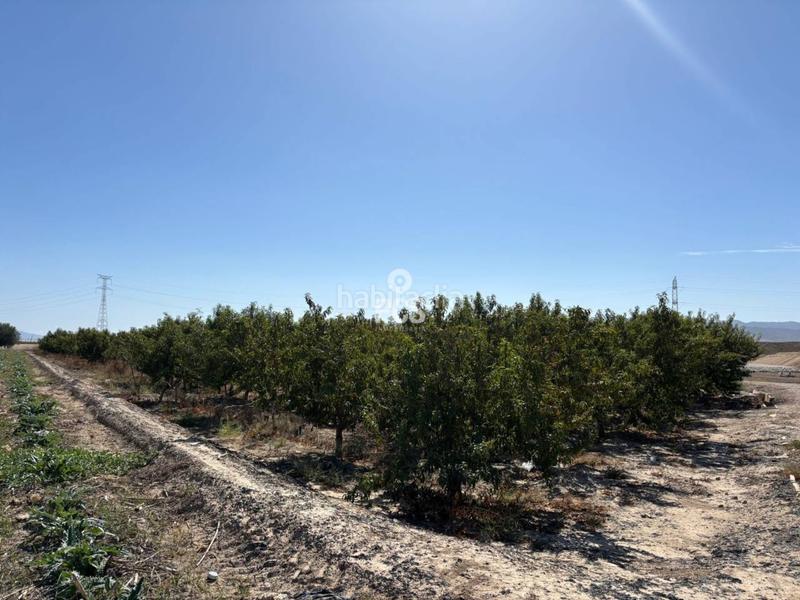 Foto 3ce01823-745b-4455-8142-d93b1781be13. Rural plot in lebor s/n in Totana