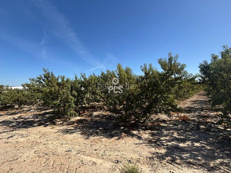 Foto 4ecf5f86-c6de-4fc4-8fef-e30509b97a3c. Rural plot in lebor s/n in Totana