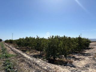 Propriété à Lebor s/n. Terreno en venta en totana