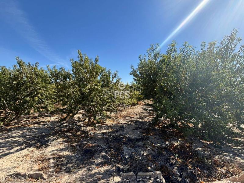 Foto de135bad-6f25-46ec-83af-a653511503df. Rural plot in lebor s/n in Totana