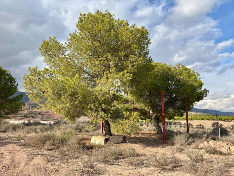 Foto 3addf07c-55de-4553-9555-1c41497453d2. Residential plot in zona camino yesares s/n in Totana