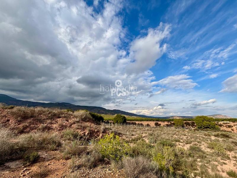 Foto a4e3585c-63ad-4d09-9abd-1993a026df60. Residential plot in zona camino yesares s/n in Totana