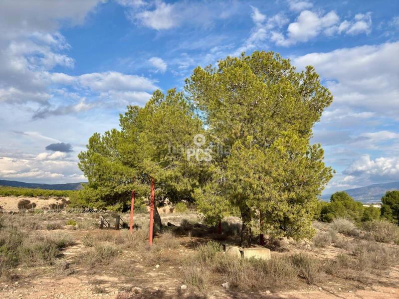 Foto aeb7f8a0-0618-4530-ba26-65ecbd3425c6. Residential plot in zona camino yesares s/n in Totana