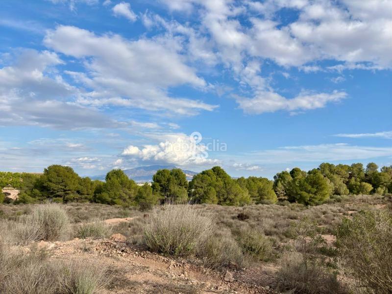 Foto aff84776-4446-47e8-a5be-d5feccf2f210. Residential plot in zona camino yesares s/n in Totana