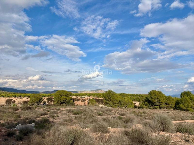 Foto b0e40c47-7290-4420-833d-b44d79ca852b. Residential plot in zona camino yesares s/n in Totana