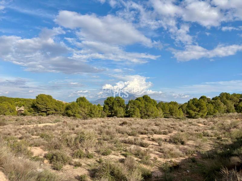 Foto c93e2ee2-01e4-42ef-97f7-27c609fcd4c1. Residential plot in zona camino yesares s/n in Totana