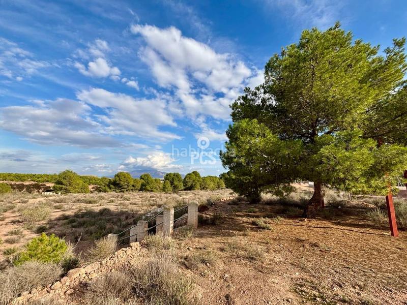 Foto dc2572a8-d485-438b-bbdf-795918b4c010. Residential plot in zona camino yesares s/n in Totana