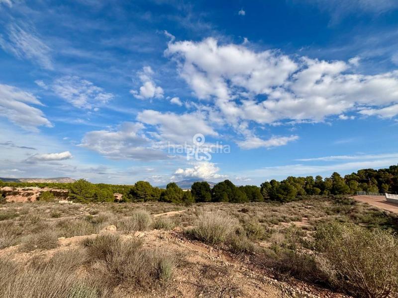 Foto eda9d7fa-cb80-428c-b610-2f2d82aafd21. Residential plot in zona camino yesares s/n in Totana