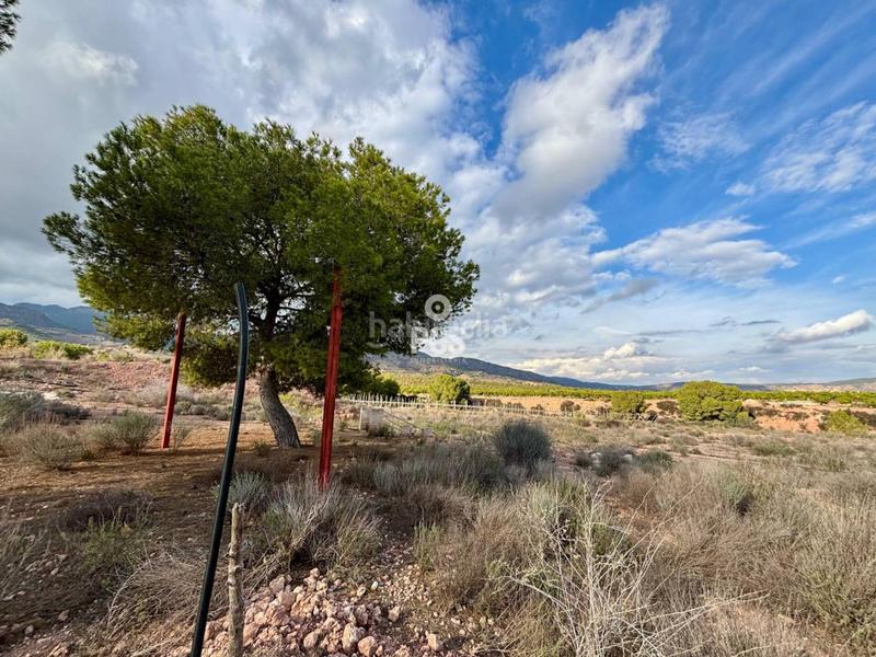 Foto f46e520a-d50c-4c29-8af0-e7623d744259. Residential plot in zona camino yesares s/n in Totana