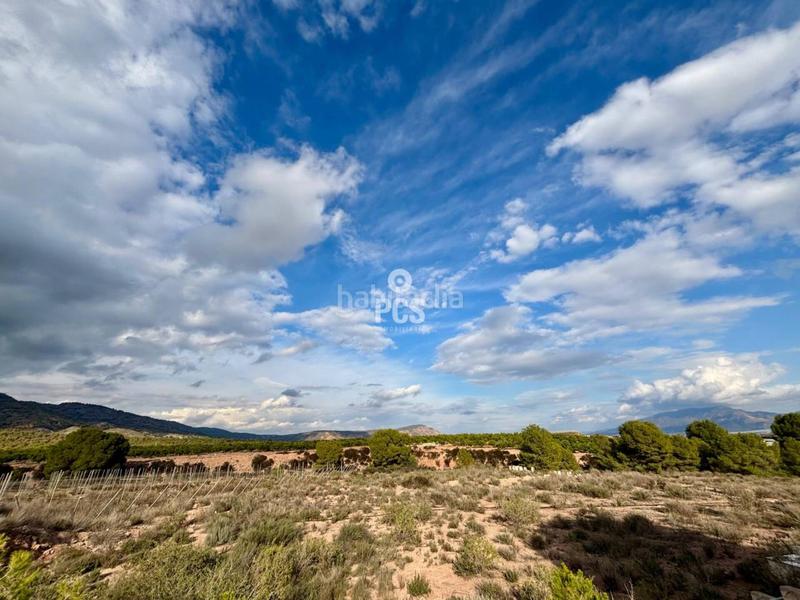 Foto f990e12e-ec70-4cb9-808a-73a0f52448bc. Residential plot in zona camino yesares s/n in Totana