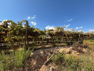 Propriété à Llano de las bojas (aledo) s/n. Parral en venta en totana