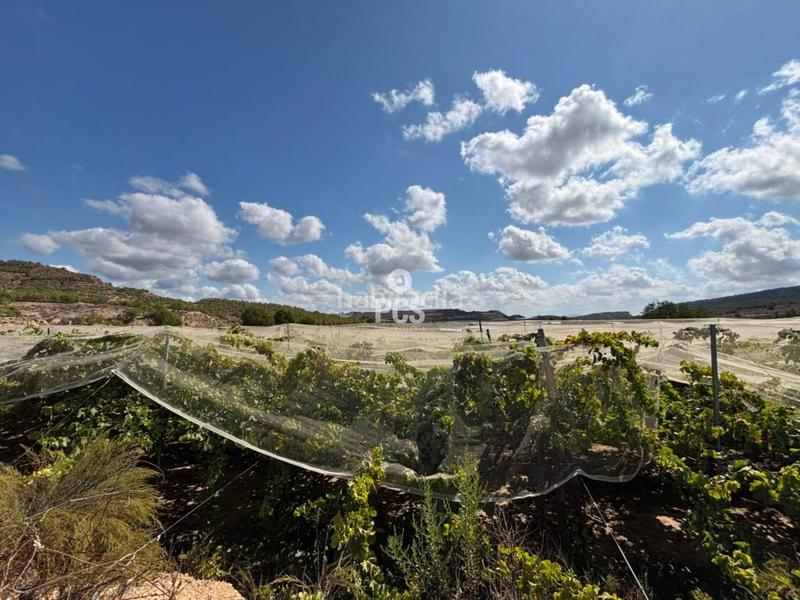 Foto 22d31825-ba09-45c8-b418-28bfc401691d. Fondo rustico in llano de las bojas (aledo) s/n in Totana