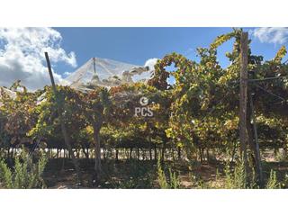 Propriété à Llano de las bojas (aledo) s/n. Parral en venta en totana