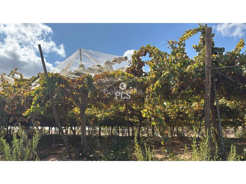 Foto 53b787f7-fcd9-47f8-947e-20548794274a. Fondo rustico in llano de las bojas (aledo) s/n in Totana