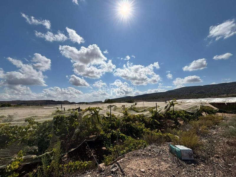 Foto ef89a233-4d67-43cc-bfbc-b12f7df723d6. Fondo rustico in llano de las bojas (aledo) s/n in Totana
