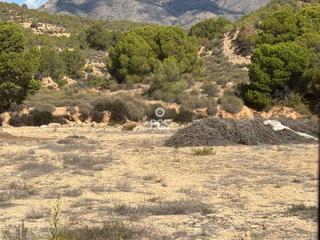 Propriété à Llano de las bojas (aledo) s/n. Terreno en venta en totana