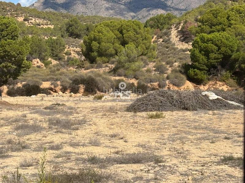 Foto d45417c9-c71c-47e4-9582-67b7d55861ec. Fondo rustico in llano de las bojas (aledo) s/n in Totana