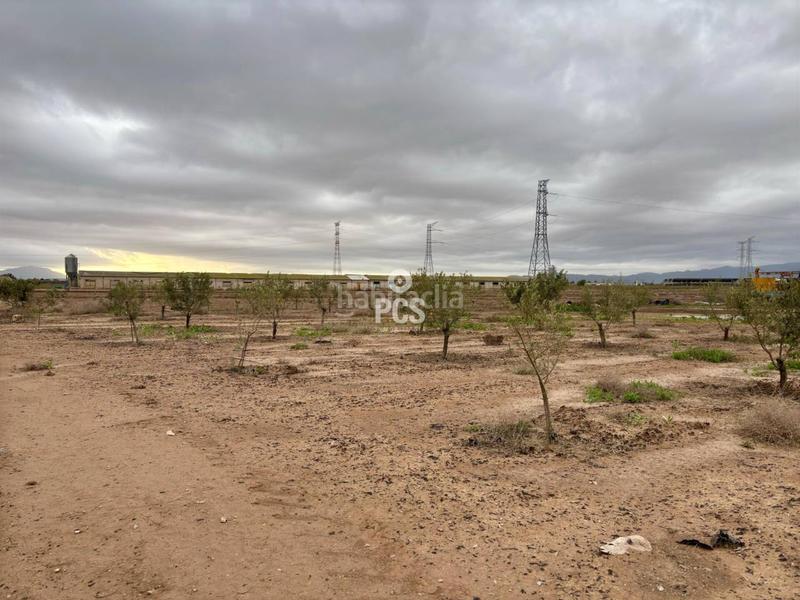 Foto 088f86ba-8f0a-4df7-a0d6-3fb77c2f5005. Rural plot in la ñorica (Totana) s/n in Totana