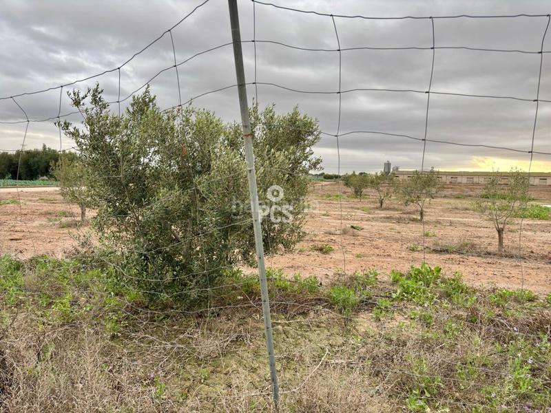 Foto 140661b7-a9b4-4a9f-86fa-8cf502cd91b1. Rural plot in la ñorica (Totana) s/n in Totana