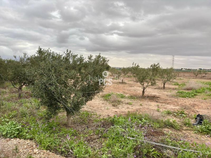 Foto 26334fae-36df-4313-8983-f9c37d5b4375. Rural plot in la ñorica (Totana) s/n in Totana