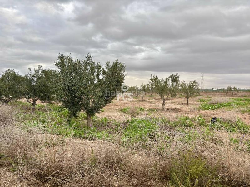 Foto 49721039-e2fd-486d-8299-ab7a766d4102. Rural plot in la ñorica (Totana) s/n in Totana