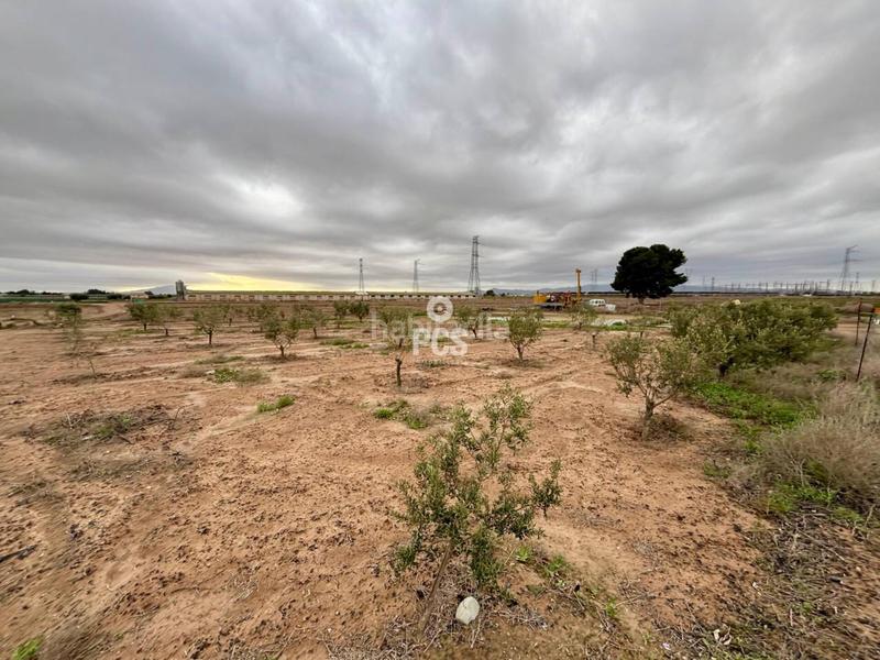 Foto 9490eba4-5aa0-4606-bf34-a705909f8612. Rural plot in la ñorica (Totana) s/n in Totana