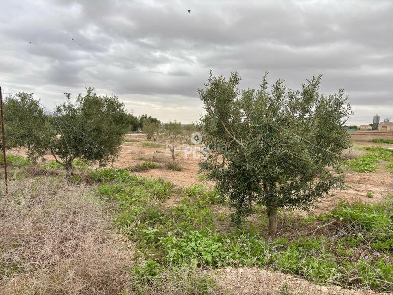 Foto acbb3515-a384-4052-910b-b0183a666f5e. Rural plot in la ñorica (Totana) s/n in Totana