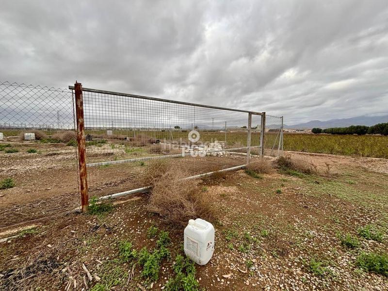 Foto b9bc3bde-4f3a-407d-961c-c47137dc3317. Rural plot in la ñorica (Totana) s/n in Totana