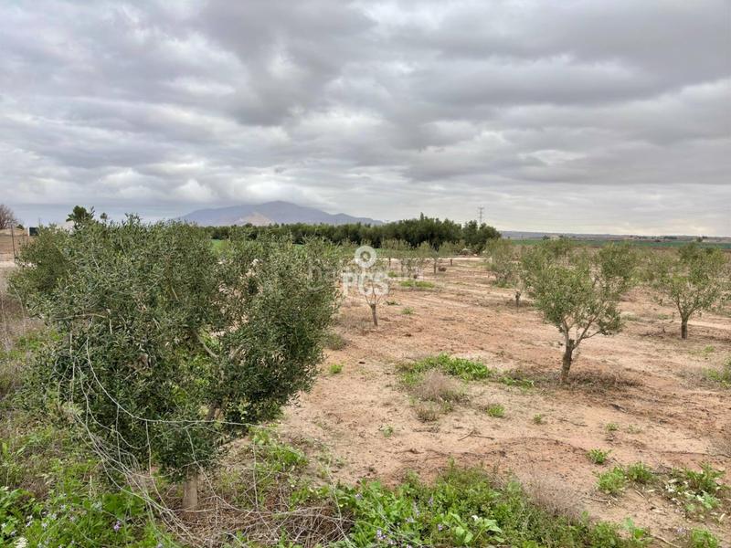 Foto c68287a2-b7e2-41cb-a11b-f7af4a46ec23. Rural plot in la ñorica (Totana) s/n in Totana