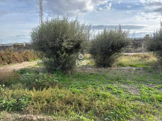 Propriété à Zona la ñorica totana s/n. Venta de terreno en totana