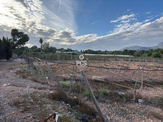 Propriété à Zona la paloma lentiscosa s/n. Venta de terreno en totana