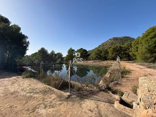 Propriété à Sierra espuña balsa grande s/n. Terreno en venta en totana