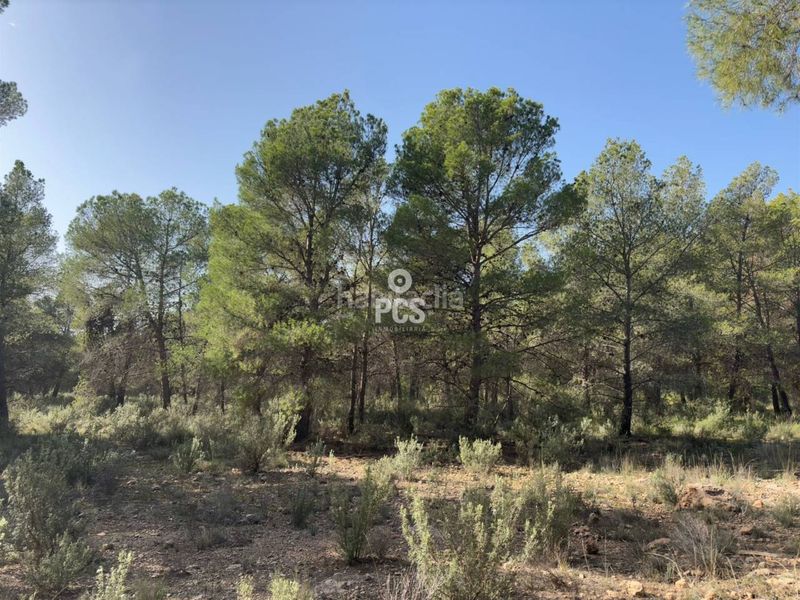 Foto c96b5f45-14f0-474e-bbad-31f71934fbf4. Finca rústica a calle sierra espuña anexo balsa grande 3 s/n a Totana