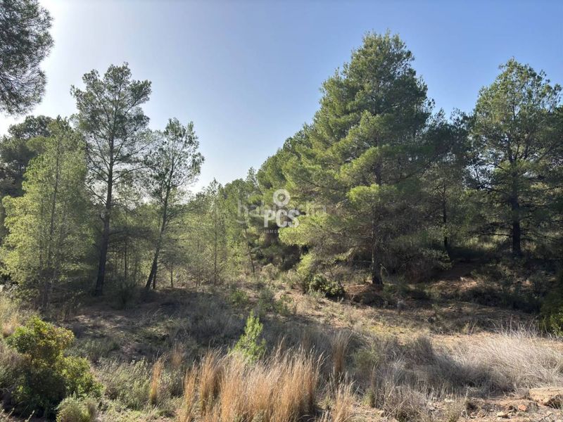 Foto ca3a54fc-65e3-48f0-82a9-b178344a983b. Finca rústica a calle sierra espuña anexo balsa grande 3 s/n a Totana