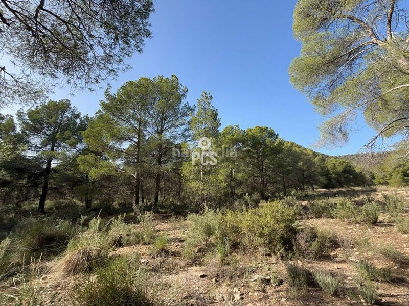 Foto cf9dfd49-50f5-428c-8571-17fed6c0d6f4. Finca rústica a calle sierra espuña anexo balsa grande 3 s/n a Totana